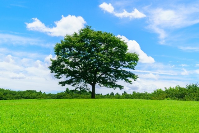 環境向上の取り組み